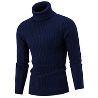 Ribbed Roll-Neck Men's Knitwear - Nicolas
