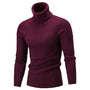 Ribbed Roll-Neck Men's Knitwear - Nicolas