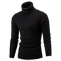 Ribbed Roll-Neck Men's Knitwear - Nicolas