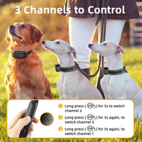 Elektrisches Hundetraining-Halsband mit 1000 m Reichweite und wasserdichtem Design – PetTrainer