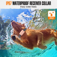 Wiederaufladbarer wasserdichter Hundetrainingshalsband mit Fernbedienung und Bellersteuerung – TrainMate
