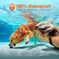 Wiederaufladbarer elektrischer Hundetrainingshalsband mit Fernbedienung und 1000 m Reichweite – PetControl
