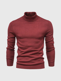 Schmal Geschnittener Rollkragenpullover Für Herren - Dario