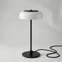 Sculptural Statement Table Lamp -  Nuvolux