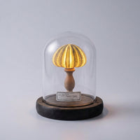 Seashell Inspired Nightlight -  Ocealyn
