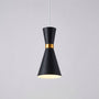 Single Pendant Ceiling Light - Pendrya