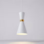 Single Pendant Ceiling Light - Pendrya