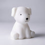 Soft Glow Decorative Lamp -  Pupalo