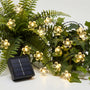Solar-Powered LED Blossom String Lights -  Blossara