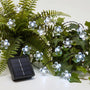 Solar-Powered LED Blossom String Lights -  Blossara
