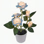 Solar-Powered Rose Lantern In A Pot -  Rosalume