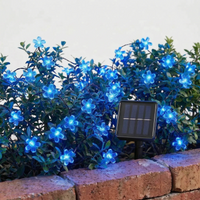 Solarlichterkette Draußen - Blossomray