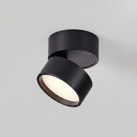Surface Mounted Ceiling Spotlight -  Pivotra