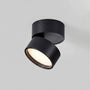 Surface Mounted Ceiling Spotlight -  Pivotra
