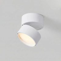 Surface Mounted Ceiling Spotlight -  Pivotra