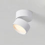 Surface Mounted Ceiling Spotlight -  Pivotra