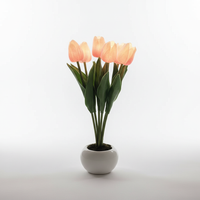 Tischdekoration Mit USB Stromversorgung - MoonPetal