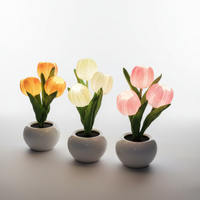 Tischdekoration Mit USB Stromversorgung - MoonPetal
