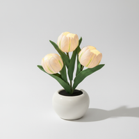 Tischdekoration Mit USB Stromversorgung - MoonPetal