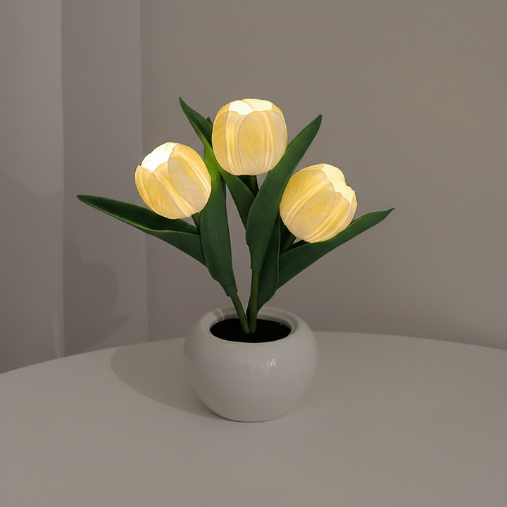 Tischdekoration Mit USB Stromversorgung - MoonPetal
