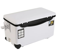 Fischkühlbox mit Luftventilen und langanhaltender Kältespeicherung – Auren