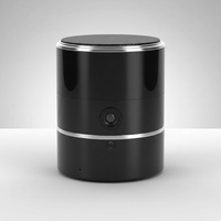Versteckte Kamera Im Bluetooth Lautsprecher - StealthTone