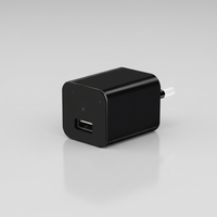 Versteckte Spionagekamera Adapter - SafeCharger