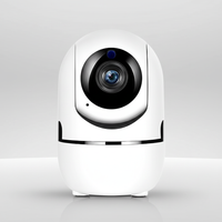 WLAN Überwachungskamera Mit Nachtsicht - NestWatchr