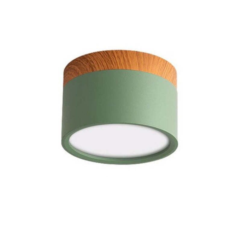 Deckenleuchte | Modern LED Morandi Vielseitig Stimmungsvolles Design Stilvoll Langlebig-Grün-5W-Warmwit-Luzern Mode