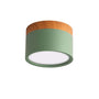 Deckenleuchte | Modern LED Morandi Vielseitig Stimmungsvolles Design Stilvoll Langlebig-Grün-5W-Warmwit-Luzern Mode