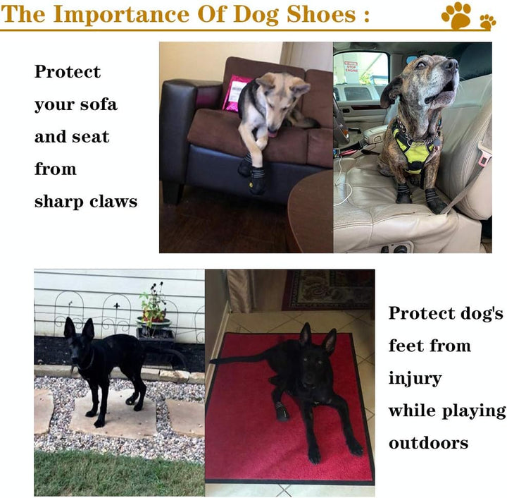Hundeschuhe | Wasserdicht Komfortabel Langlebig Anti-Rutsch Robust-Luzern Mode