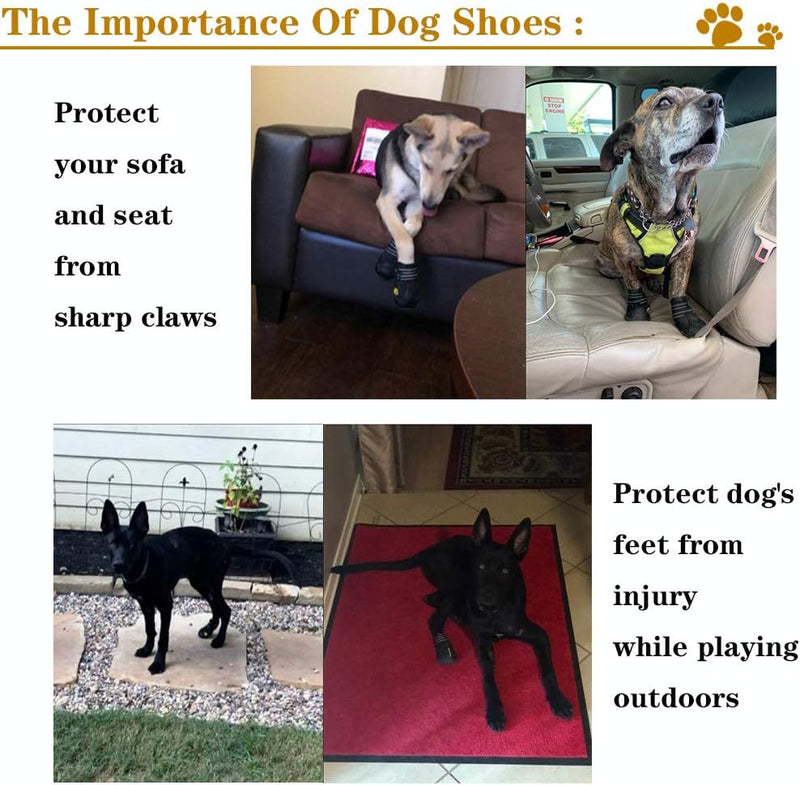 Hundeschuhe | Wasserdicht Komfortabel Langlebig Anti-Rutsch Robust-Luzern Mode