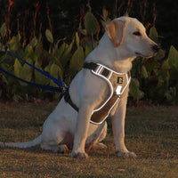 Anti-Trek Hundegeschirr | Komfortpolsterung | Robust | Reflektierend | Sicher-Luzern Mode