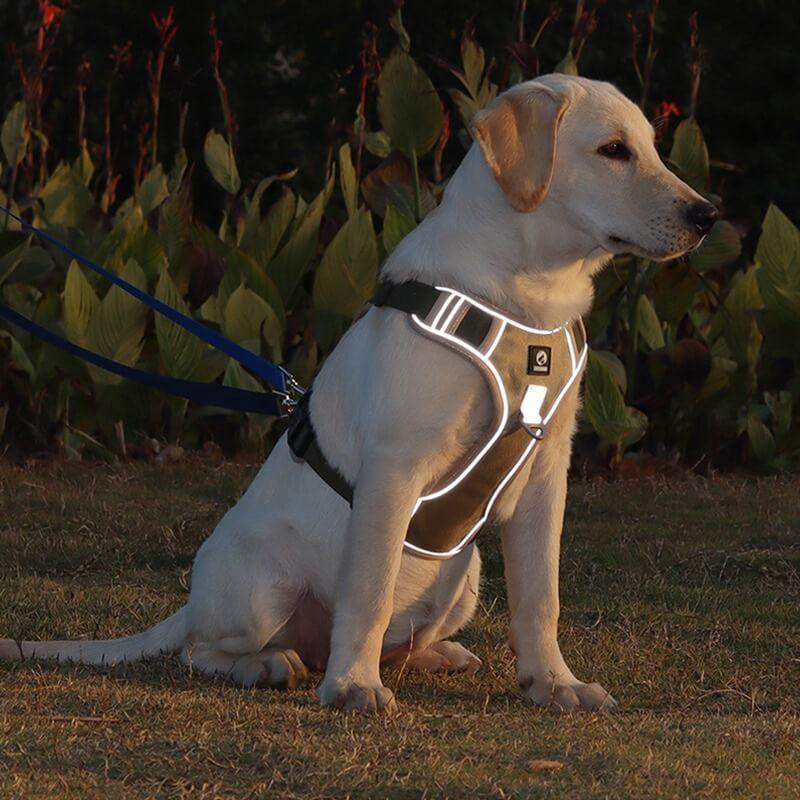 Anti-Trek Hundegeschirr | Komfortpolsterung | Robust | Reflektierend | Sicher-Luzern Mode
