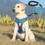 Anti-Trek Hundegeschirr | Komfortpolsterung | Robust | Reflektierend | Sicher-Blau-S (3-7 Kg)-Luzern Mode