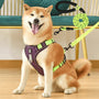 Anti-Trek Hundegeschirr | Komfortpolsterung | Robust | Reflektierend | Sicher-Mauve-S (3-7 Kg)-Luzern Mode