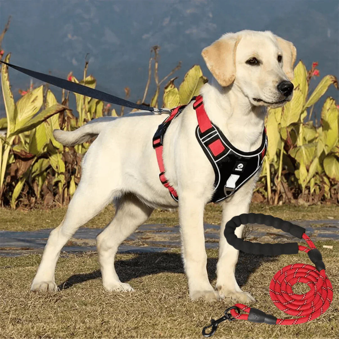 Anti-Trek Hundegeschirr | Komfortpolsterung | Robust | Reflektierend | Sicher-Rood-S (3-7 Kg)-Luzern Mode