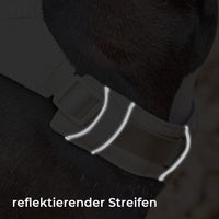 Hundegeschirr | Set Leine Anti-Zieh Wasserdicht Langlebig Atmungsaktiv Komfort-Luzern Mode