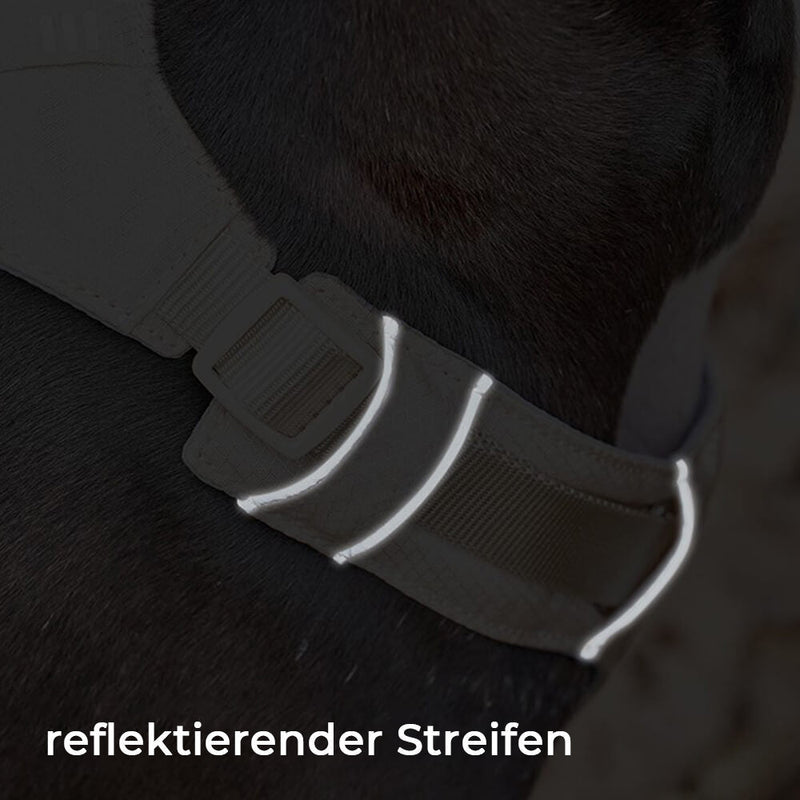 Hundegeschirr | Set Leine Anti-Zieh Wasserdicht Langlebig Atmungsaktiv Komfort-Luzern Mode