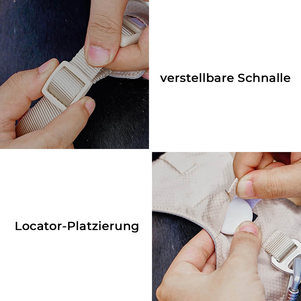 Hundegeschirr | Set Leine Anti-Zieh Wasserdicht Langlebig Atmungsaktiv Komfort-Luzern Mode