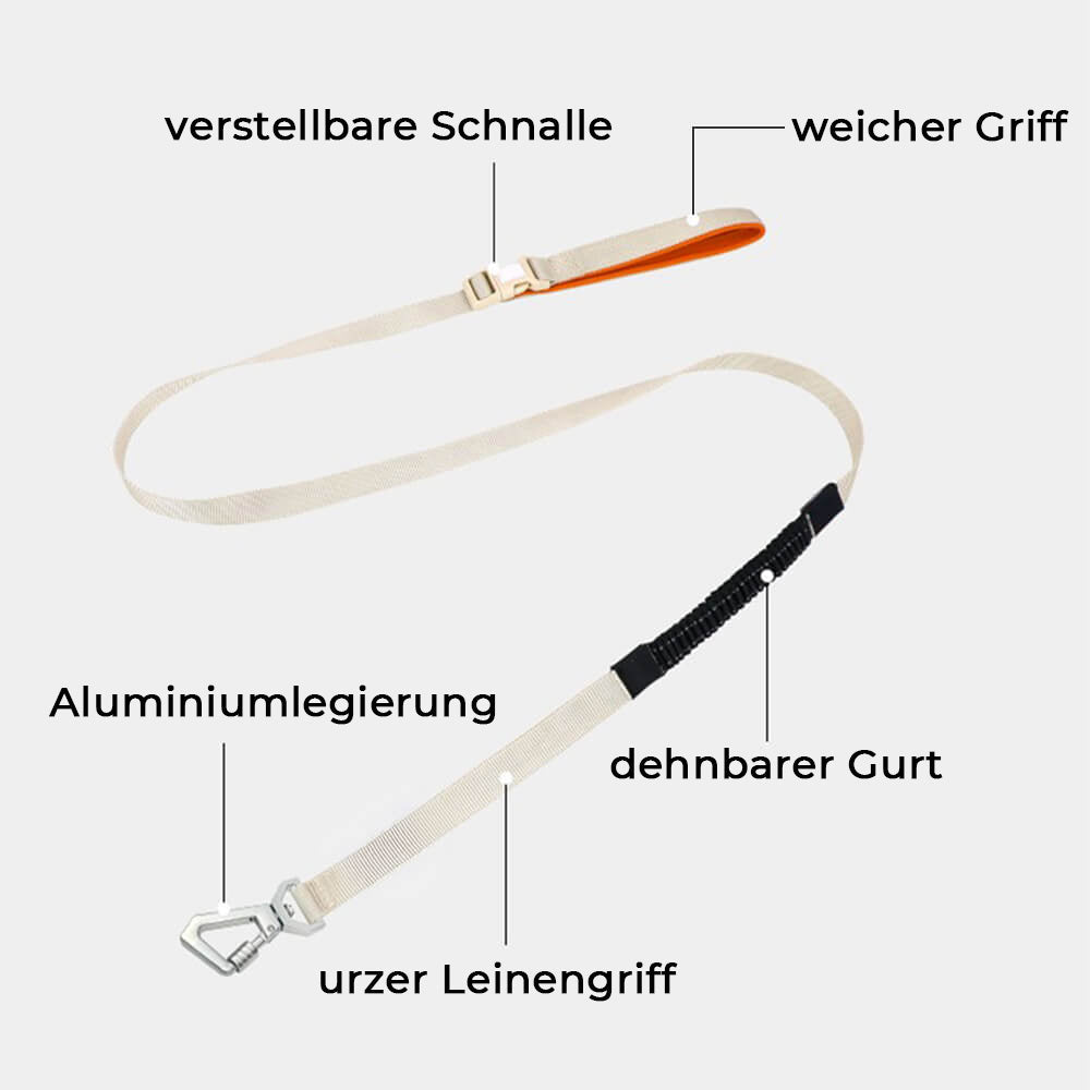 Hundegeschirr | Set Leine Anti-Zieh Wasserdicht Langlebig Atmungsaktiv Komfort-Luzern Mode