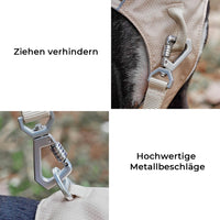 Hundegeschirr | Set Leine Anti-Zieh Wasserdicht Langlebig Atmungsaktiv Komfort-Luzern Mode