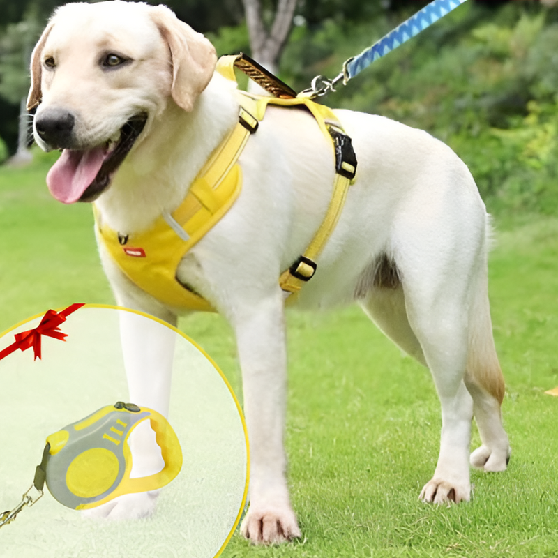 Hundegeschirr | Anti-Zieh, Komfortabel, Langlebig, Tierfreundlich, Sicher-Luzern Mode
