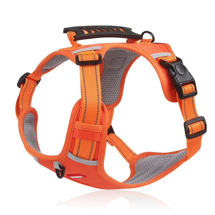 Hundegeschirr | Anti-Zieh, Komfortabel, Langlebig, Tierfreundlich, Sicher-Orange-XS (2.5-5 KG)-Luzern Mode