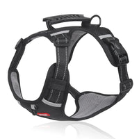 Hundegeschirr | Anti-Zieh, Komfortabel, Langlebig, Tierfreundlich, Sicher-Schwarz-XS (2.5-5 KG)-Luzern Mode