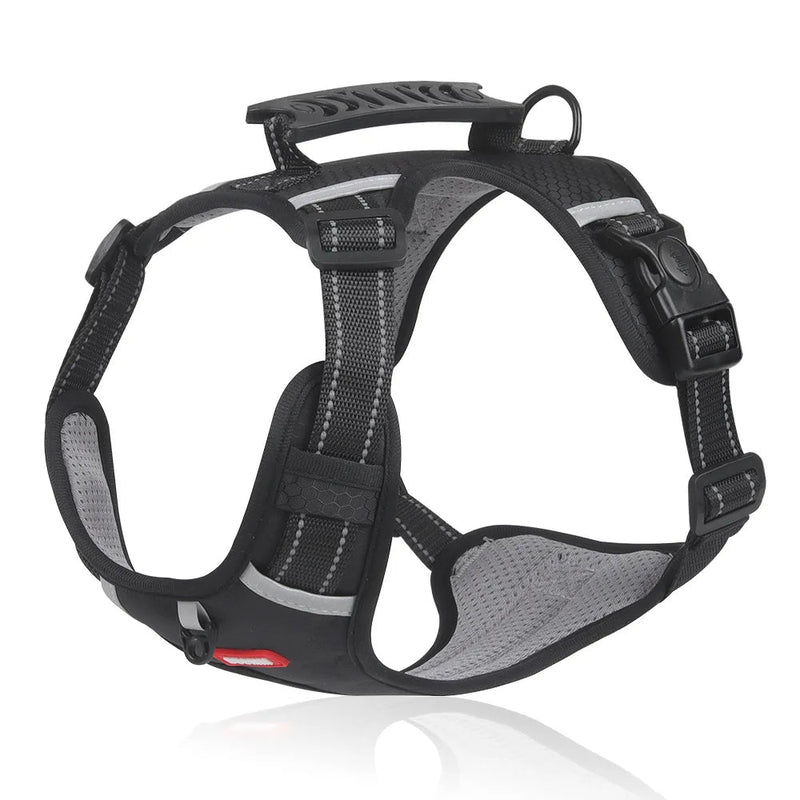 Hundegeschirr | Anti-Zieh, Komfortabel, Langlebig, Tierfreundlich, Sicher-Schwarz-XS (2.5-5 KG)-Luzern Mode