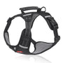 Hundegeschirr | Anti-Zieh, Komfortabel, Langlebig, Tierfreundlich, Sicher-Schwarz-XS (2.5-5 KG)-Luzern Mode