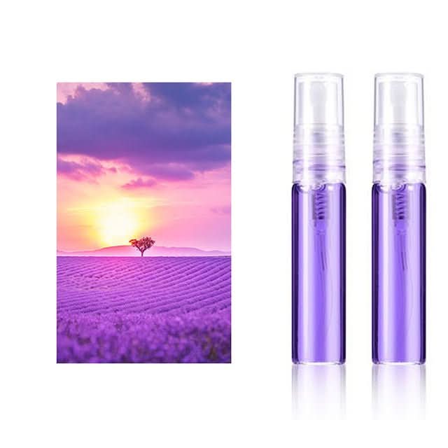 Auto Parfum Hänger | Automarken Hänger | Frisch | 2 Stück | Verstellbar-Lavendel 2 Stück-Audi-Luzern Mode