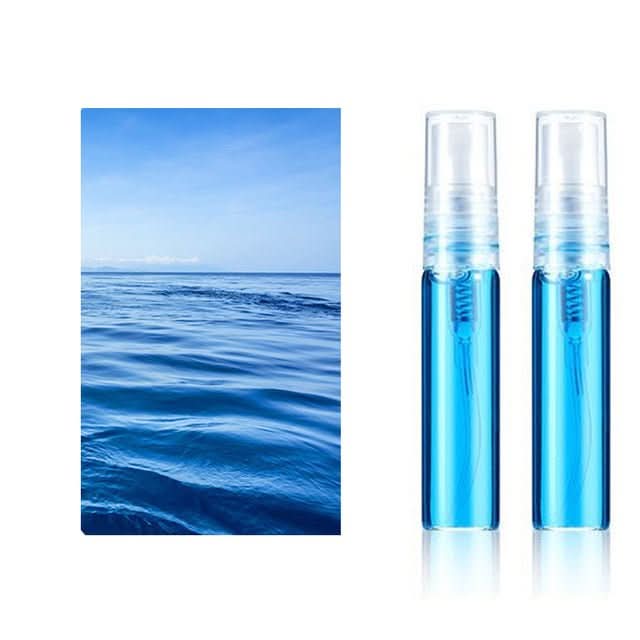 Auto Parfum Hänger | Automarken Hänger | Frisch | 2 Stück | Verstellbar-Ozean 2 Stück-Audi-Luzern Mode