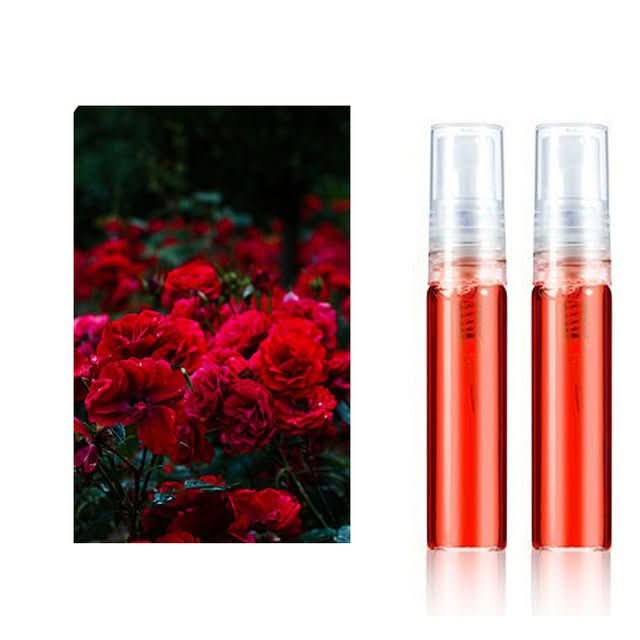 Auto Parfum Hänger | Automarken Hänger | Frisch | 2 Stück | Verstellbar-Rosen 2 Stück-Audi-Luzern Mode